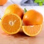 Cam vàng Navel, hàng tuyển chọn